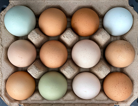 Multi-coloured, large eggs