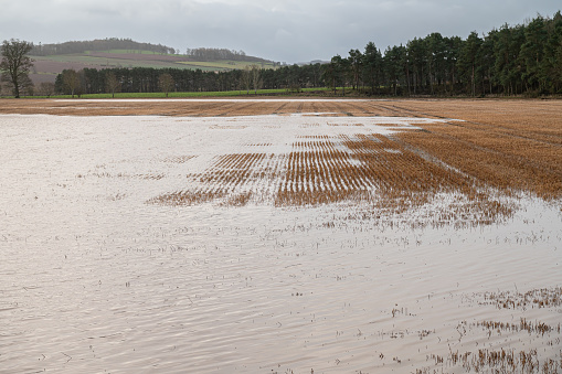 Teviot River flooding into a farmers field after storm Gerrit in December 2023, Scottish Borders, UK