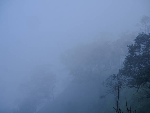 istock Morning mist in the valley, misty forest, nature view, wallpape 1904590077