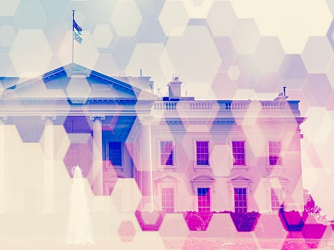 White House, President & Politics