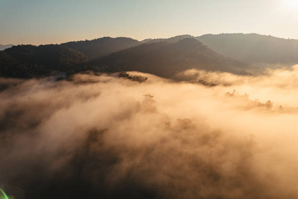 istock Morning fog in the forest before spring 1904672752