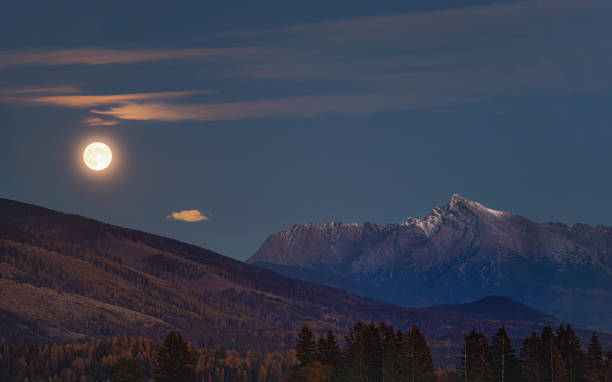 istock Full moon over mount Krivan peak - Slovak symbol - forest trees silhouettes in foreground, evening photo 1904674821
