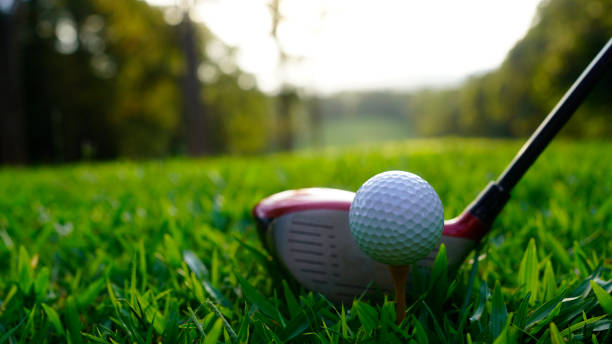 istock Golf ball and golf club in beautiful golf course at sunset background 1904676364