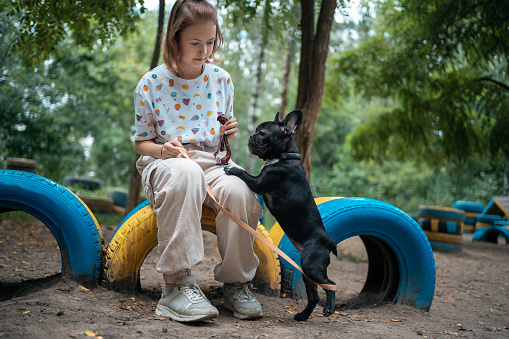 kid training cheerful french bull dog at playground