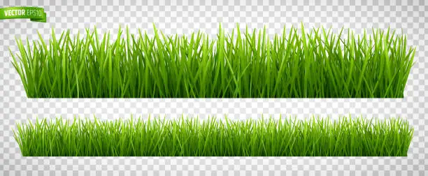 Vector illustration of Vector realistic grass borders