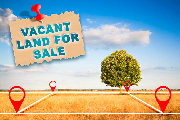 istock Land plot management - real estate concept with a vacant land and lone tree on a wheat field available for building construction and housing development in a residential area for sale 1904710948