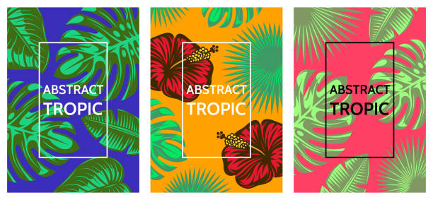 Bекторная иллюстрация Набор из трех шаблонов абстрактных плакатов с листьями тропических растений. Цветная векторная иллюстрация
