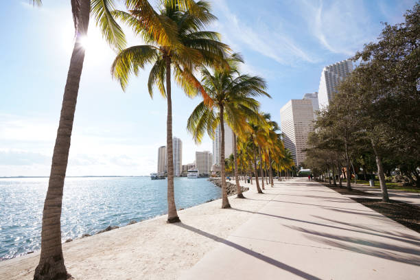 istock Walking path in Bayfront Park along Biscayne Bay in downtown Miami 1904776228