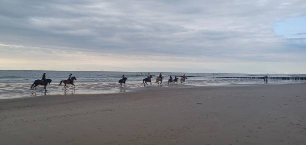 istock Horsebackriding in the sea at sunset 1904783009