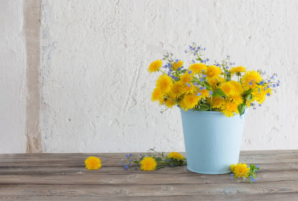 istock dandelions and forget-me-nots on background white wall 1904796998