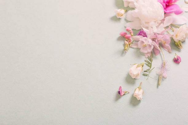 istock pink and white roses on paper background 1904797011
