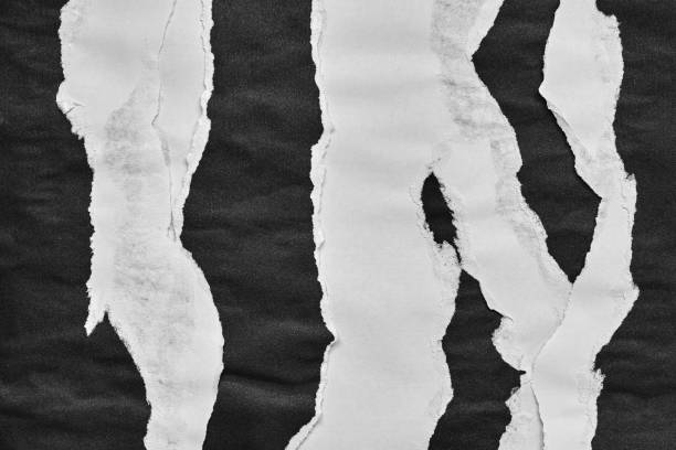 istock Black and White Torn Paper Collage Style, Ripped Paper Effect, Texture Abstract Background, Copy Space for Text. 1904798561
