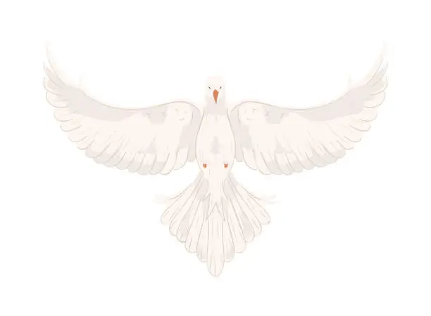 Vector illustration of dove with open wings