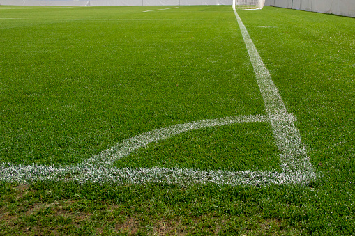 Lines of a natural grass soccer field, in a corner