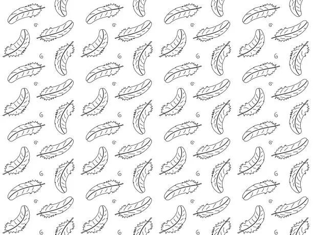 Vector illustration of Black and white seamless bird feather doodle pattern