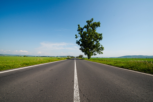 Empty road