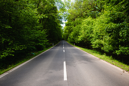 two lane paved highway surrounded by trees