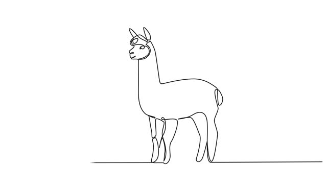 animated single line drawing of an alpaca