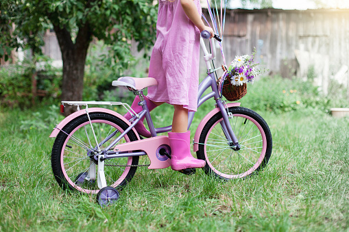Little girl is riding on lilac bicycle with wicker basket with bouquet of summer flowers. Kid is wearing in pink dress and rubber boots. Child is playing in backyard garden.
