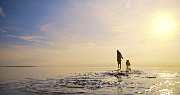 Woman running with dog on beach during vacation in sunny day.