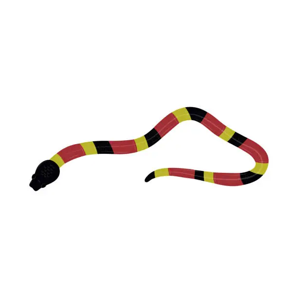 Vector illustration of snake exotic icon