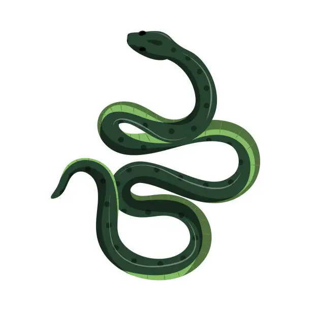 Vector illustration of green snake reptile