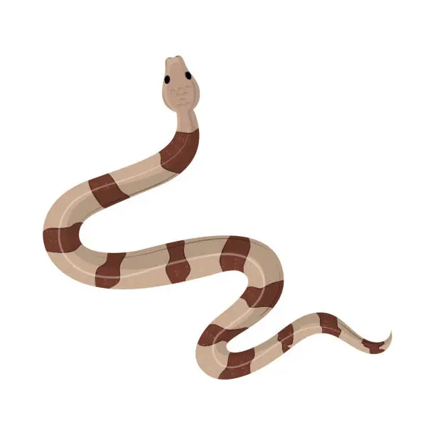 Vector illustration of snake wild animal