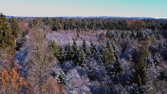 Winterwonderland over the forest