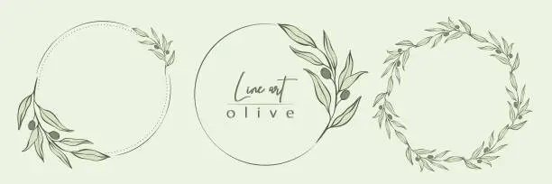 Vector illustration of Botanical line illustration set of olive wreath