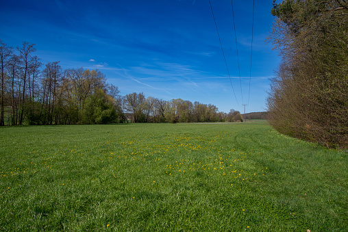 meadow in upper franconia. High quality photo