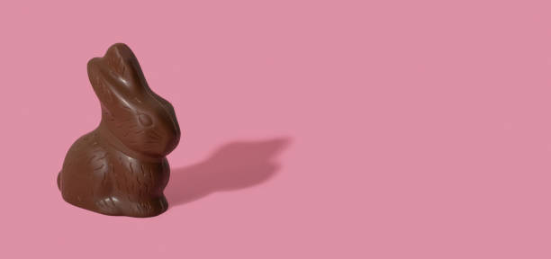 istock Chocolate rabbit symbol to Easter holidays isolated n a pink banner background with copy space. 1905021314