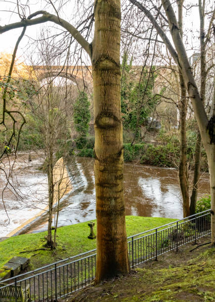 Water of Leith river through Edinburgh, weir