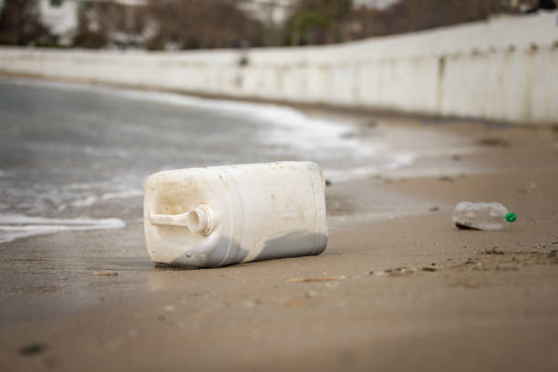 Plastic wastes on the beach in nature.