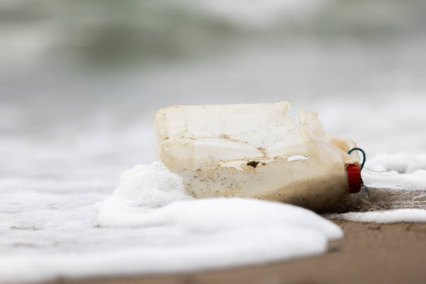 Plastic wastes on the beach in nature.