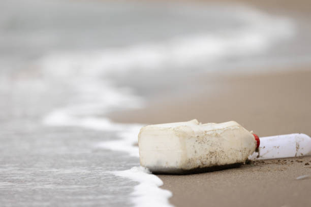 istock Plastic waste near by the sea on the beach. 1905064236