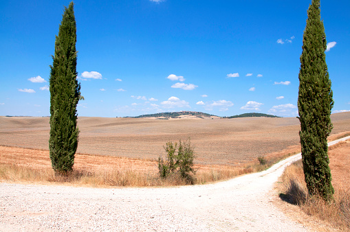 Country Road in Chianti region, Tuscany, Italy.