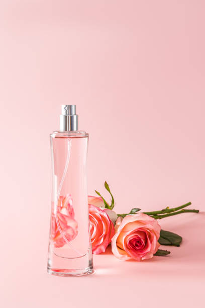 istock A chic tall bottle of women's perfume on a pastel background with a three tea rose. Vertical view. Presentation of the delicate fragrance of perfume. 1905081344