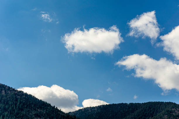 istock View to hill with trees and cloudy sky 1905099032