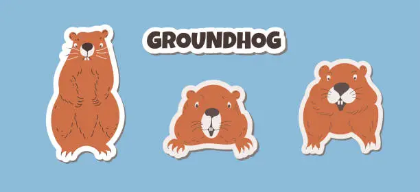 Vector illustration of Set stickers Marmot. Cute wild animals. Brown groundhogs. Flat vector illustration of a groundhog isolated