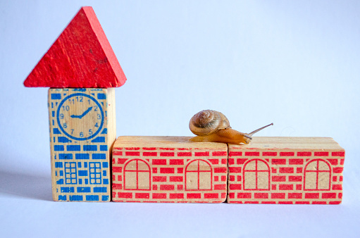 Snail on wooden blocks with a clock and a house on a white background