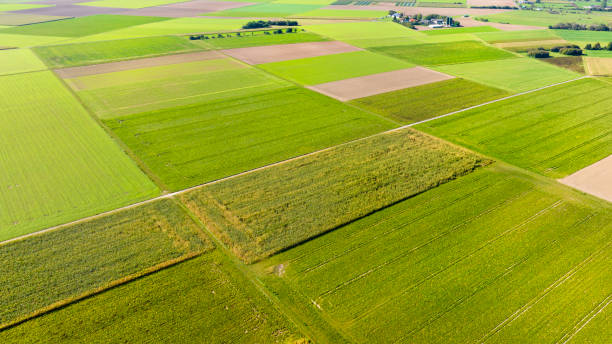 istock Agricultural fields - drone point of view 1905157126