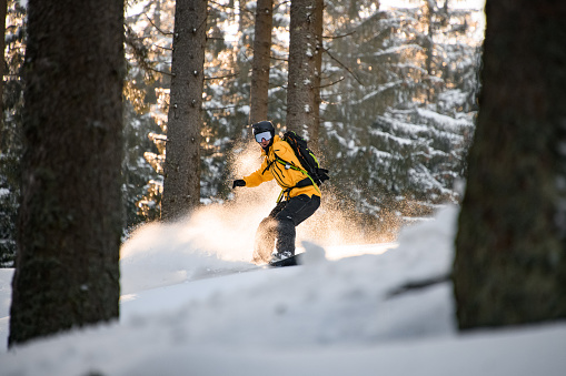 Snowboarder free rider rides down in winter forest, amidst huge snow-covered fir trees. Awesome freeride in a winter wilderness. Bright sun illuminates trees in background