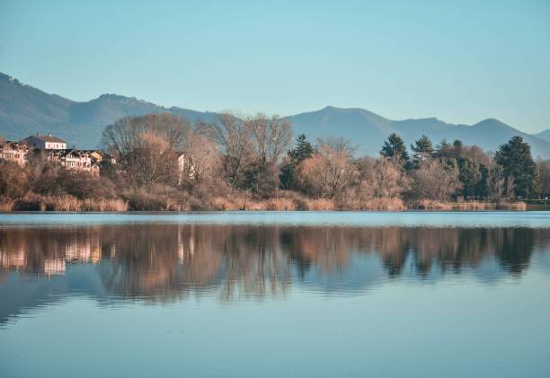 istock Winter morning pt.2 - Lago di Comabbio, Italy 1905167366