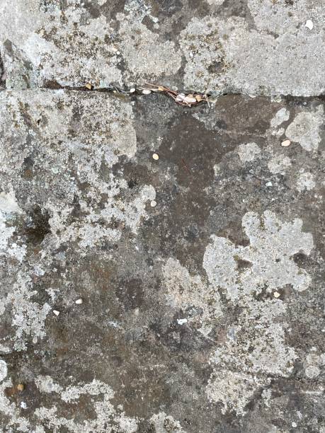 istock Rough hewn wall in grey Rome Italy 1905202820