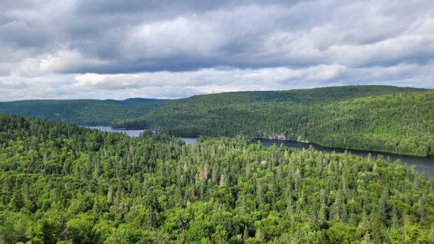istock Wapizagonke Lake Landscape (2) 1905203893