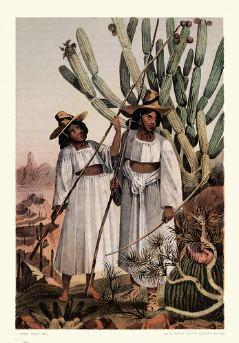 Vintage illustration of Native American women of the Tohono Oʼodham people of the Sonoran Desert, Victorian, 1850s 19th Century