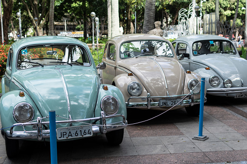 Salvador, Bahia, Brazil - November 1, 2014: Three Volkswagen Beetle cars from the 1970s are seen at a vintage car exhibition in the city of Salvador, Bahia.