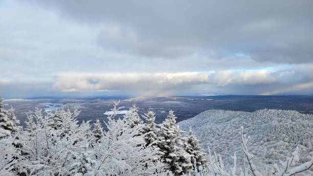 istock Forest and snow-capped summit of Mont-Ham 1905238435