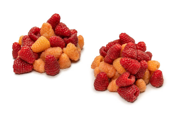 istock Tasty raspberries isolated on  white background. 1905363405