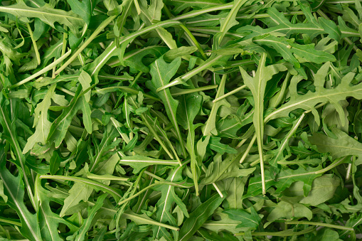 Fresh leaves of arugula as a background. Top view. Healthy food.